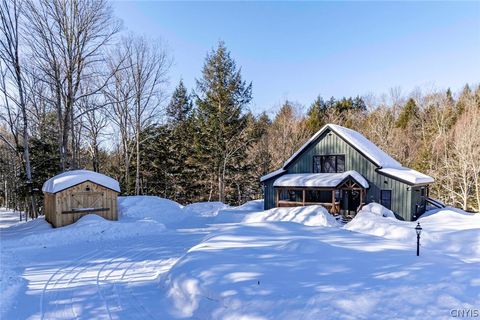 20 Bear View Drive Remsen NY 13438
