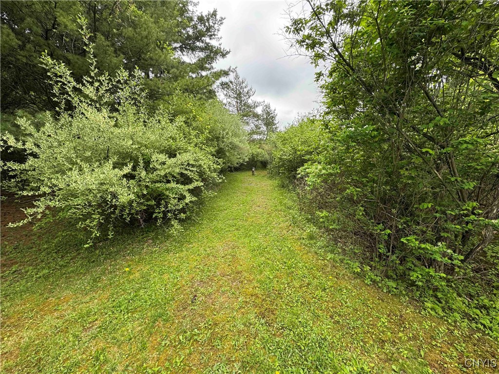 9682 Silsbee Road, Wayne, New York image 34
