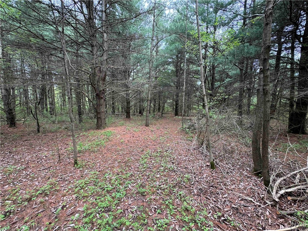 9682 Silsbee Road, Wayne, New York image 39