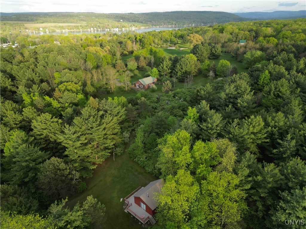 9682 Silsbee Road, Wayne, New York image 6