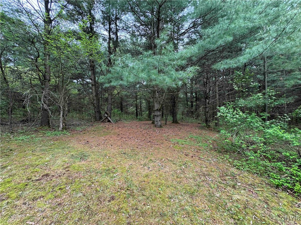 9682 Silsbee Road, Wayne, New York image 37