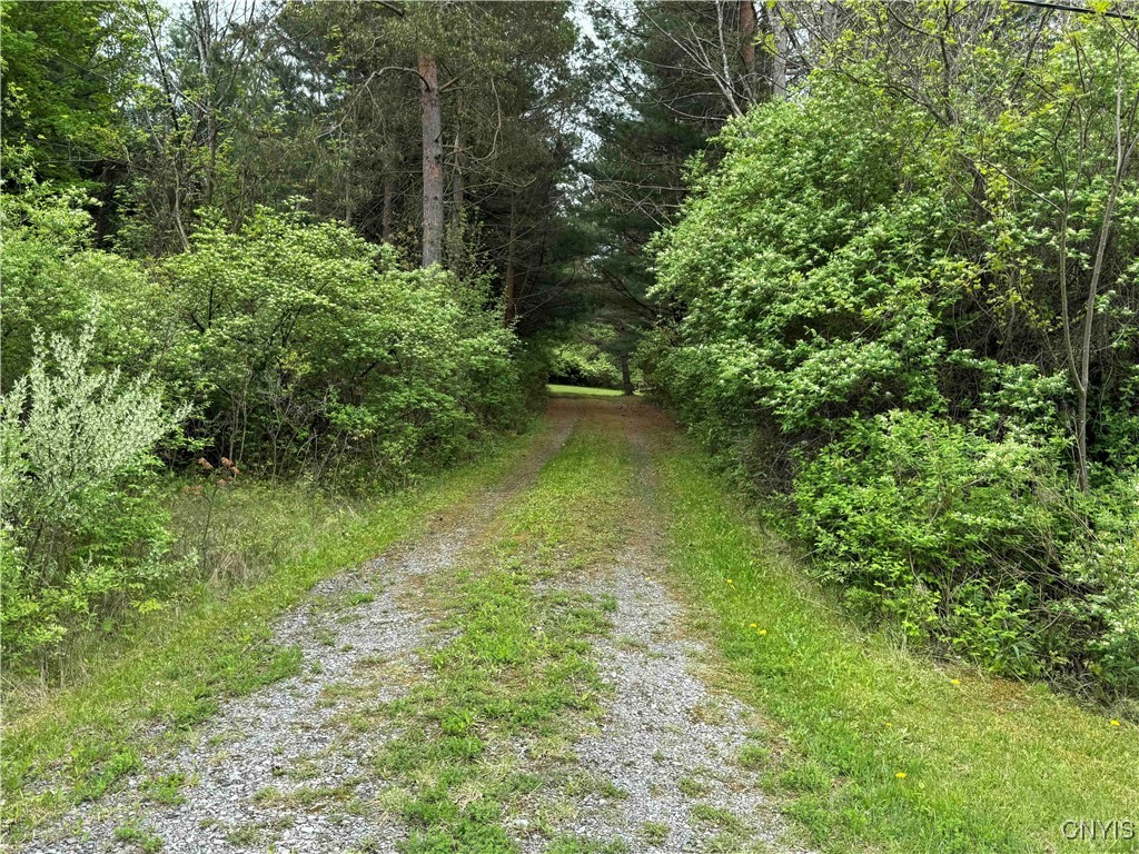 9682 Silsbee Road, Wayne, New York image 43