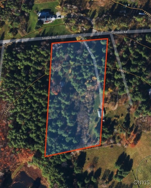 9682 Silsbee Road, Wayne, New York image 3