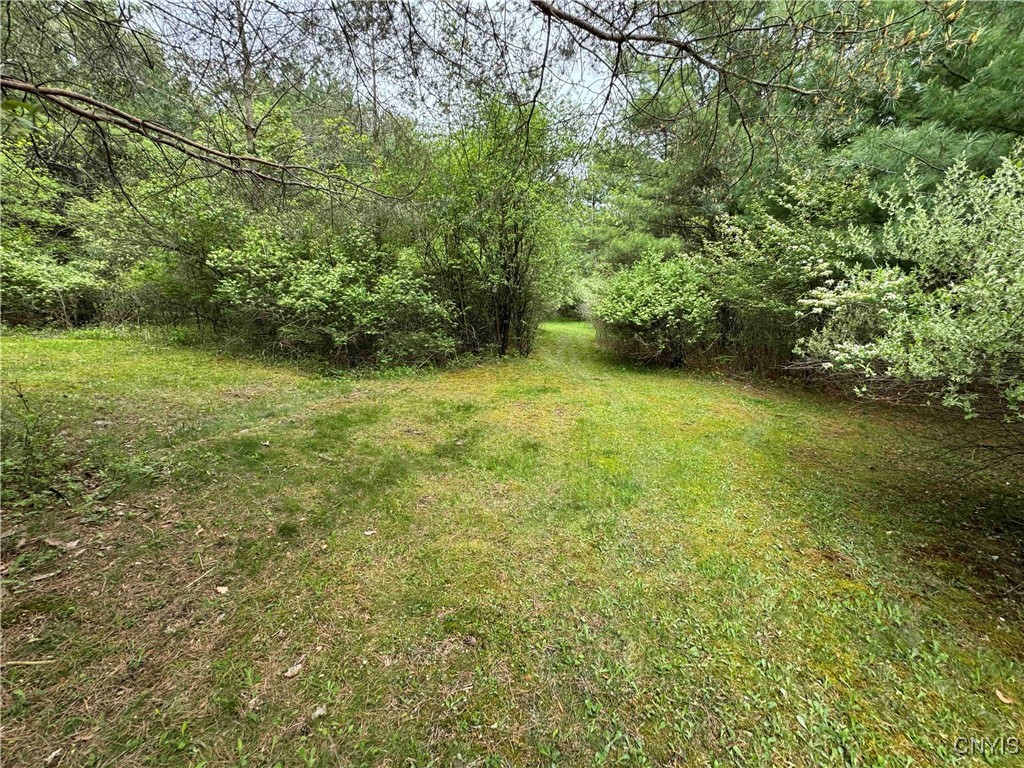 9682 Silsbee Road, Wayne, New York image 35
