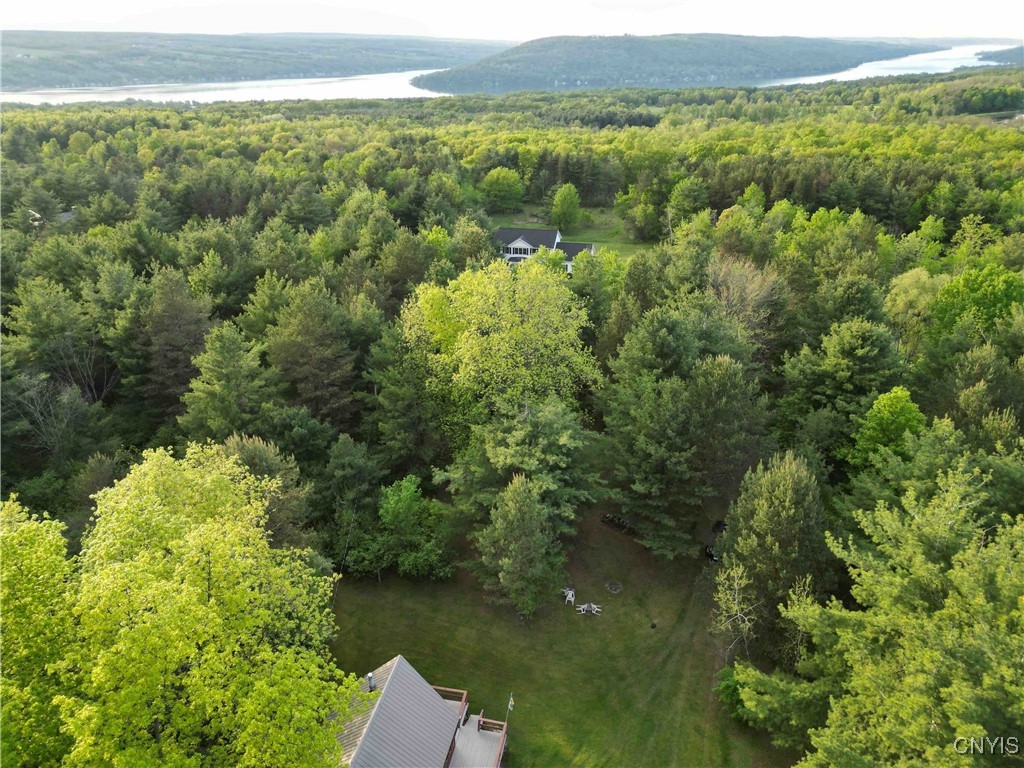 9682 Silsbee Road, Wayne, New York image 5