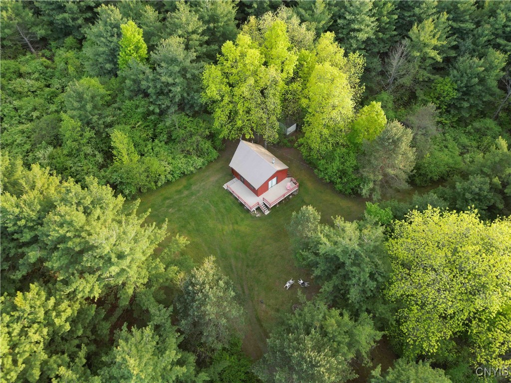 9682 Silsbee Road, Wayne, New York image 49