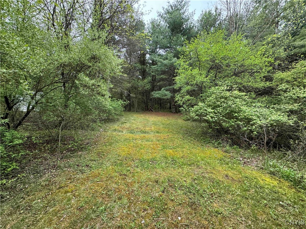 9682 Silsbee Road, Wayne, New York image 36
