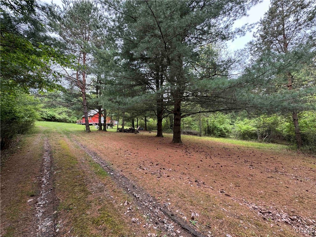 9682 Silsbee Road, Wayne, New York image 7