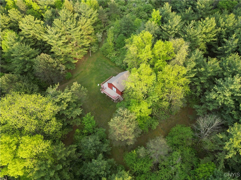 9682 Silsbee Road, Wayne, New York image 48