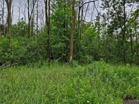 56 Myrtle Street Cazenovia NY 13035