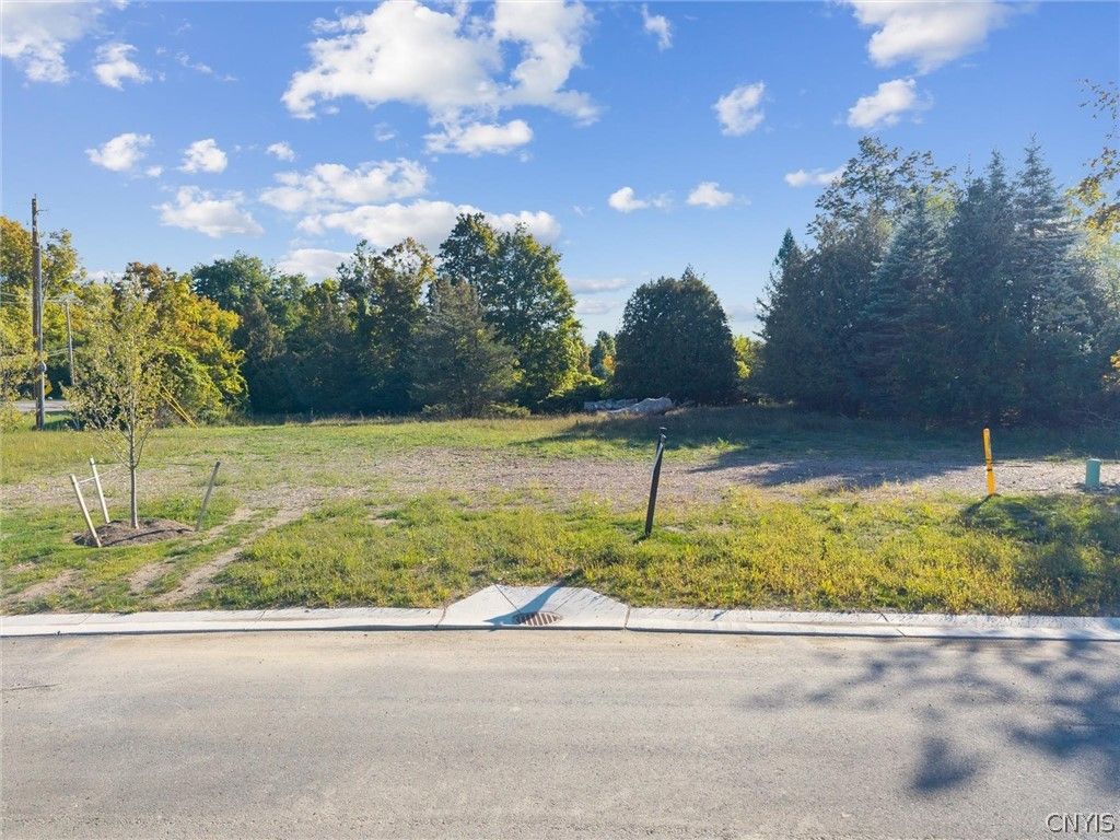 Photo of 6542 Woodchuck Hill- Lot 1 Rd, DeWitt, NY 13078 (MLS # S1678301)