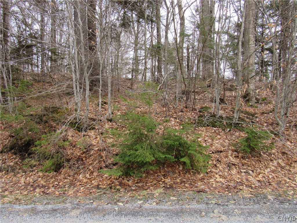 Palisades Road