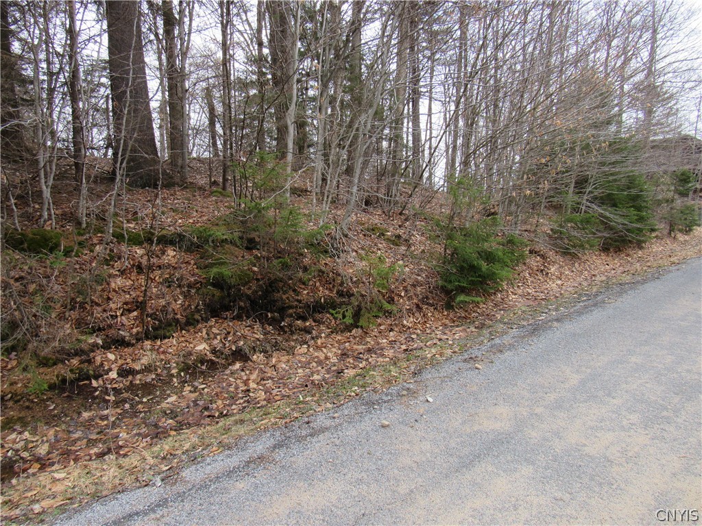 Palisades Road