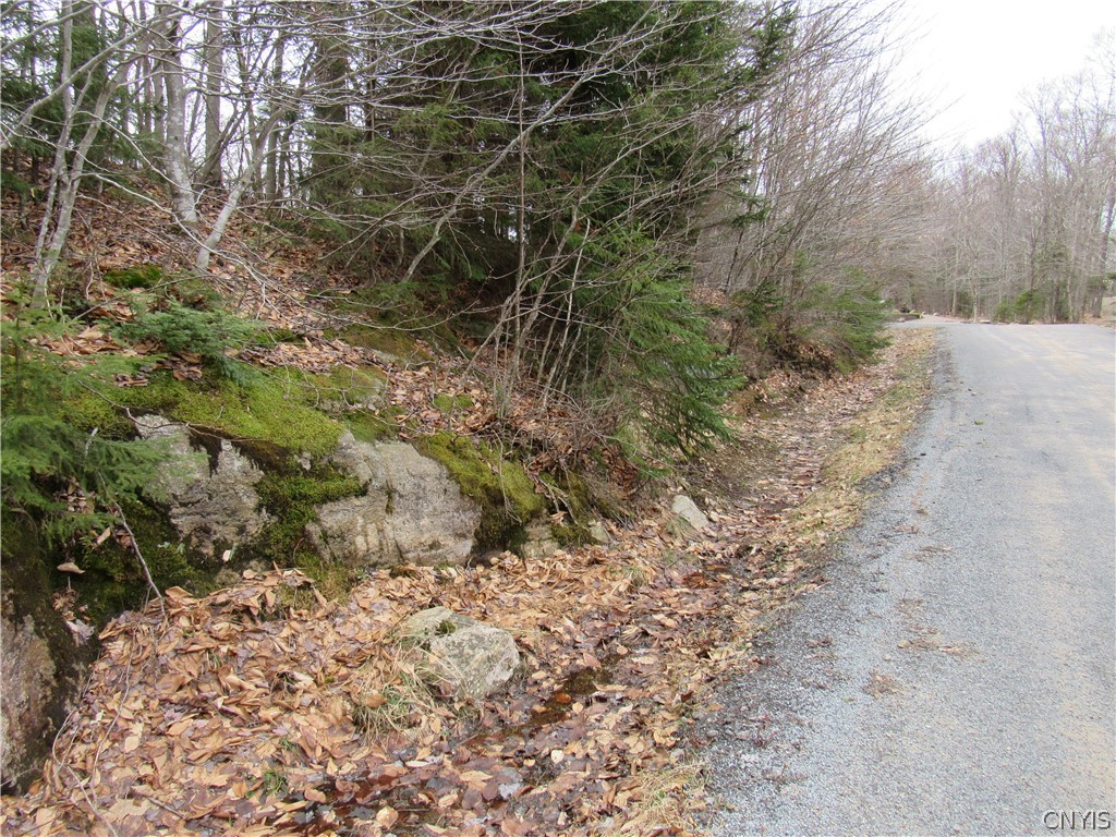 Palisades Road