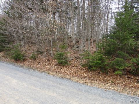 Photo of Palisades Road, Webb, NY 13420 (MLS # S1675761)