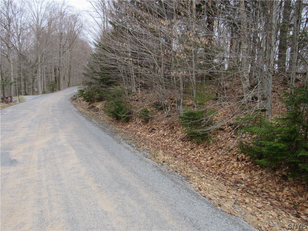 Palisades Road