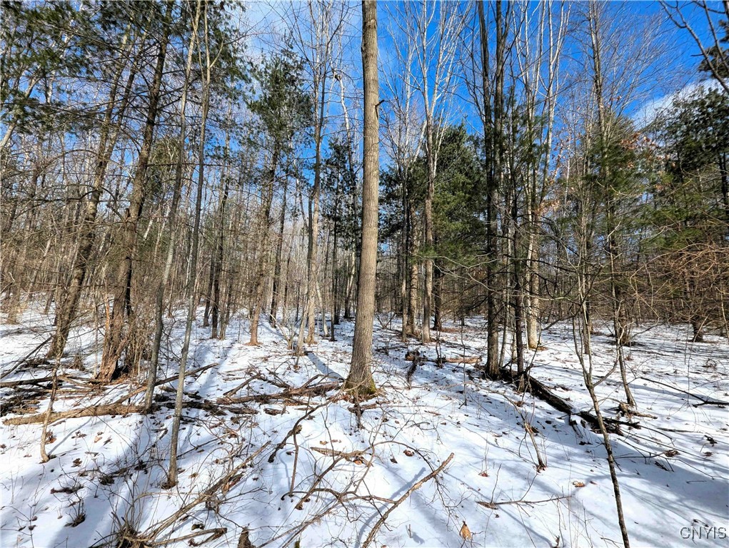 Markle Hollow Road, Corning, New York image 12