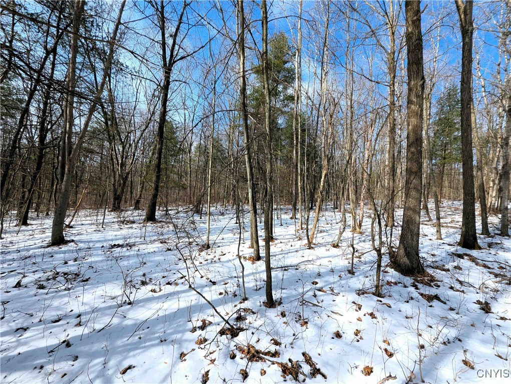 Markle Hollow Road, Corning, New York image 14