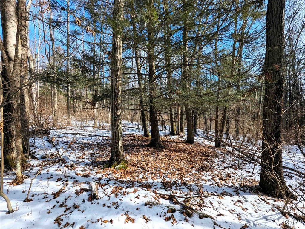 Markle Hollow Road, Corning, New York image 8