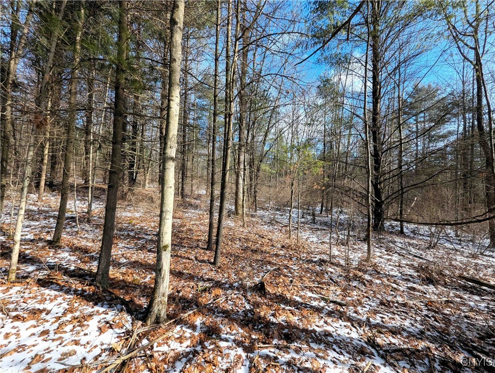 Markle Hollow Road, Corning, New York image 9