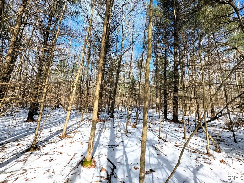 Markle Hollow Road, Corning, New York image 11
