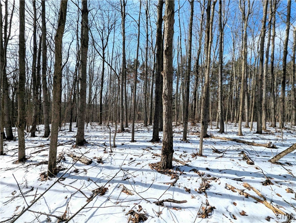 Markle Hollow Road, Corning, New York image 16