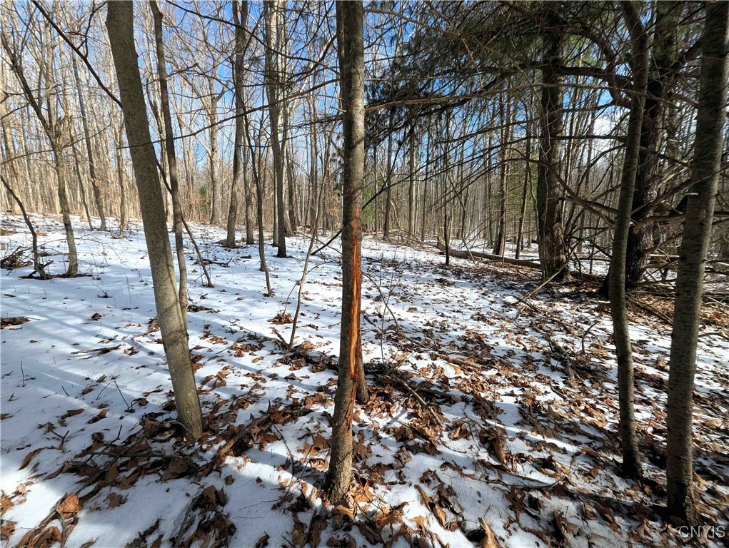 Markle Hollow Road, Corning, New York image 1