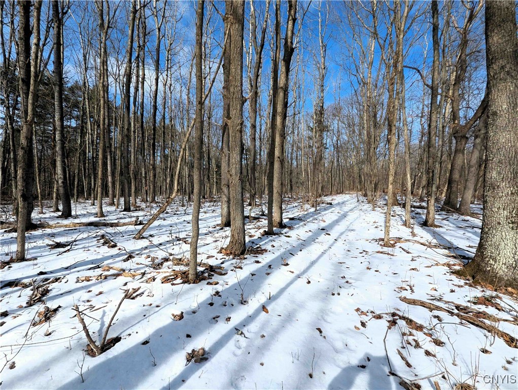 Markle Hollow Road, Corning, New York image 2