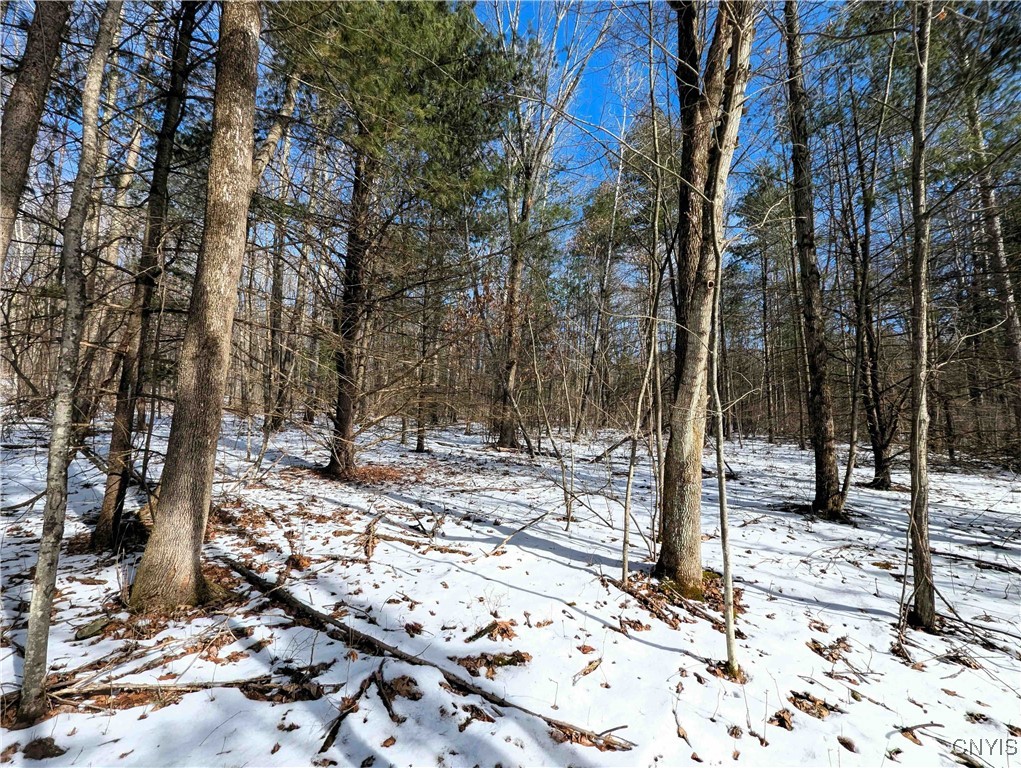 Markle Hollow Road, Corning, New York image 13