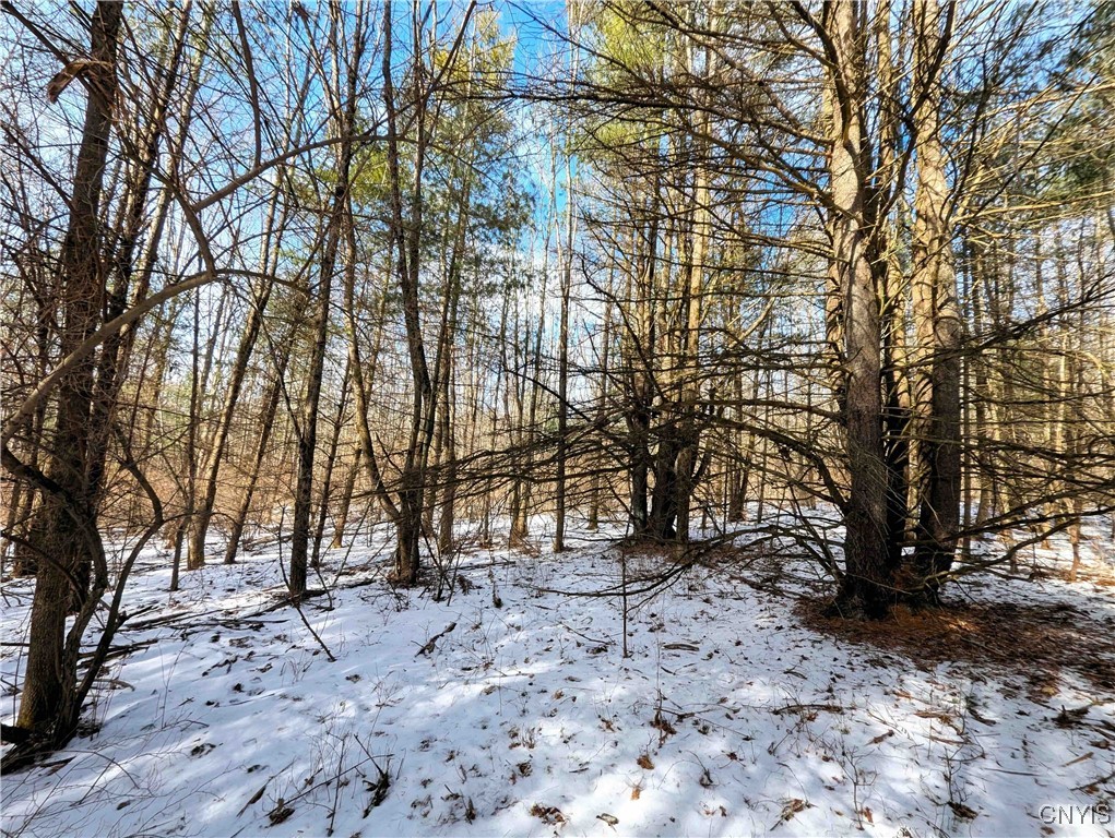 Markle Hollow Road, Corning, New York image 10