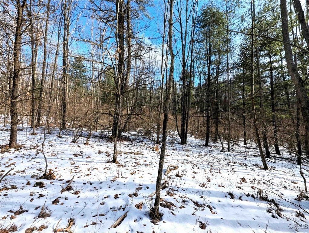 Markle Hollow Road, Corning, New York image 7