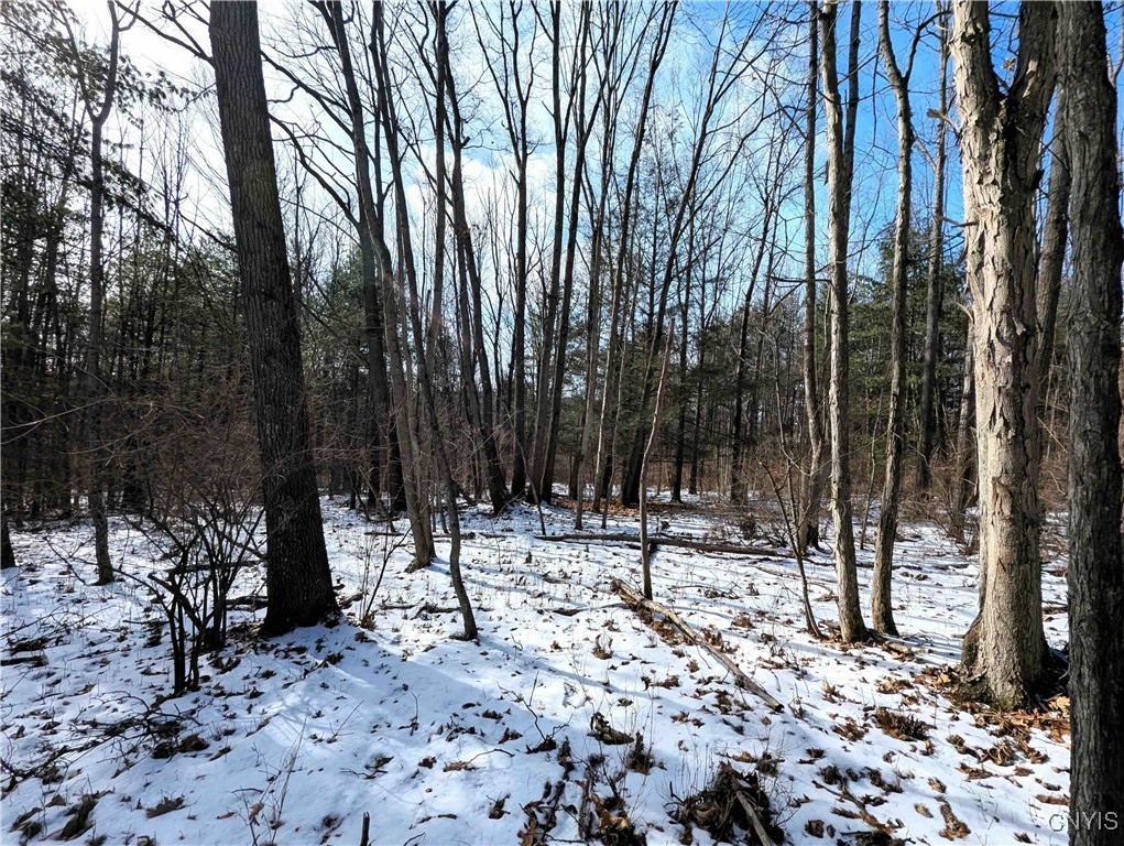 Markle Hollow Road, Corning, New York image 6
