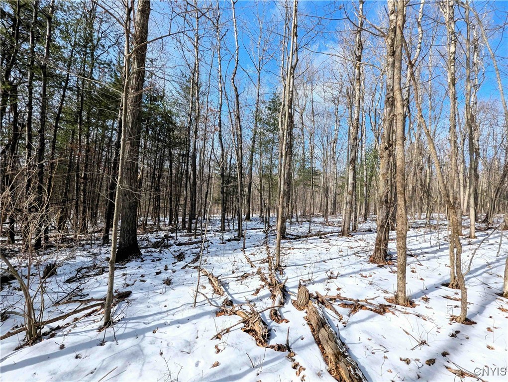Markle Hollow Road, Corning, New York image 15