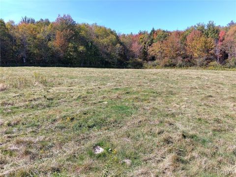 Vacant Land For Sale - PART OF 1991 Kotary Road<br/> Lewis County, Lewis, NY 13325