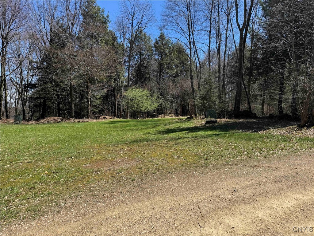 1173 Little Loop Road, Portville, New York image 46