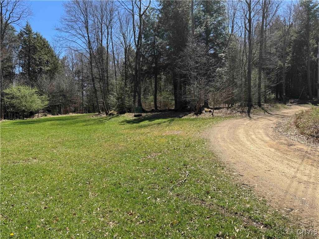 1173 Little Loop Road, Portville, New York image 48
