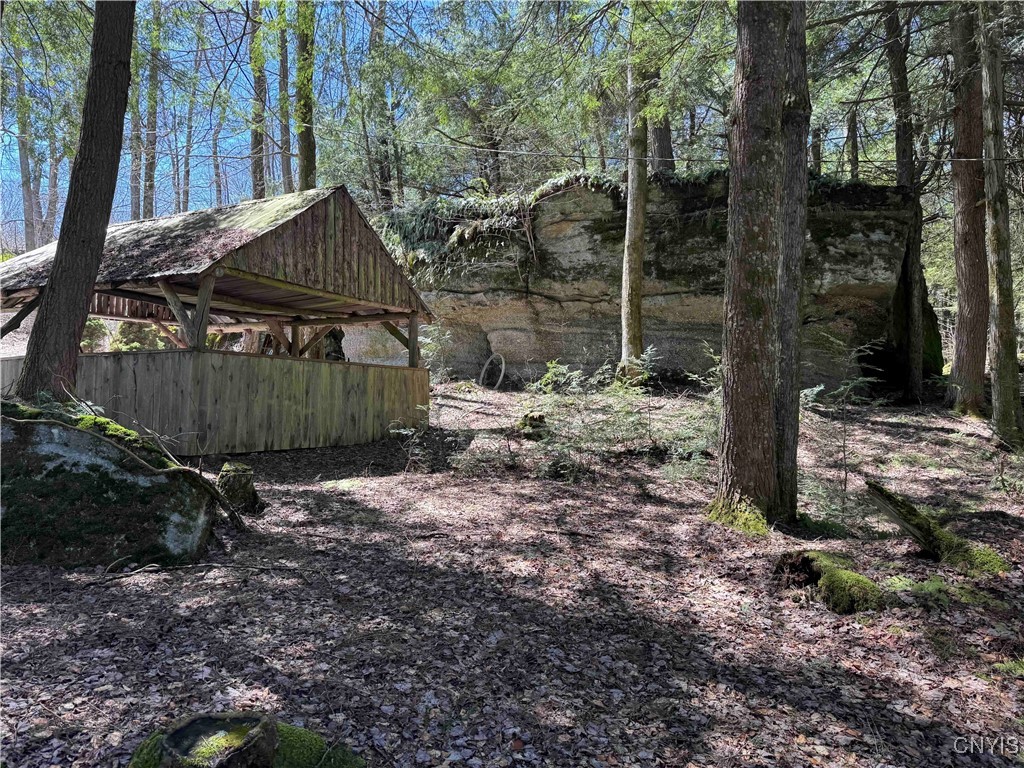 1173 Little Loop Road, Portville, New York image 24