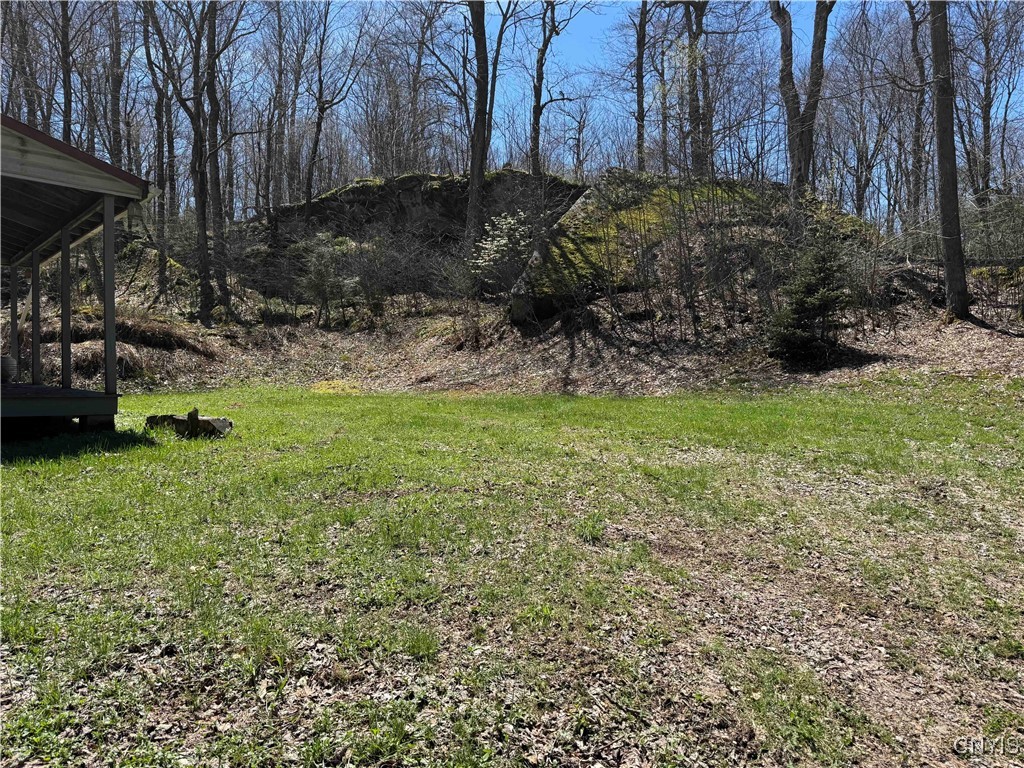 1173 Little Loop Road, Portville, New York image 31