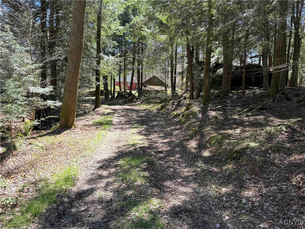 1173 Little Loop Road, Portville, New York image 27