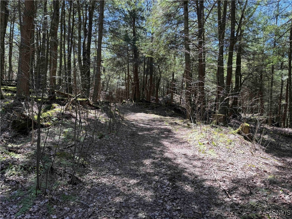 1173 Little Loop Road, Portville, New York image 39