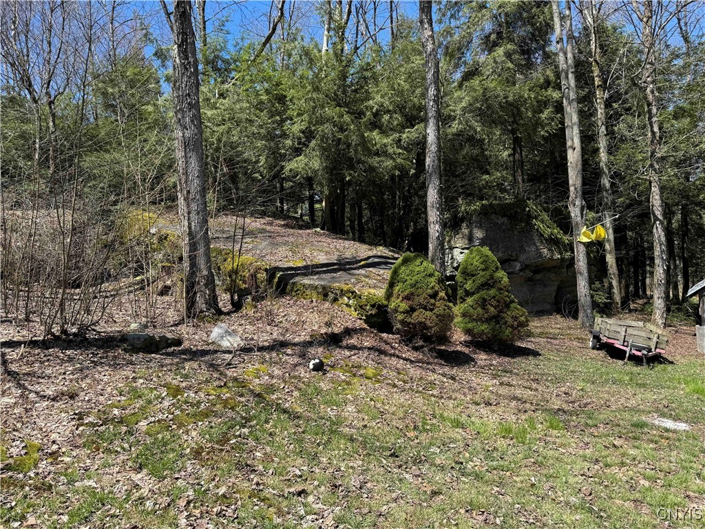 1173 Little Loop Road, Portville, New York image 44