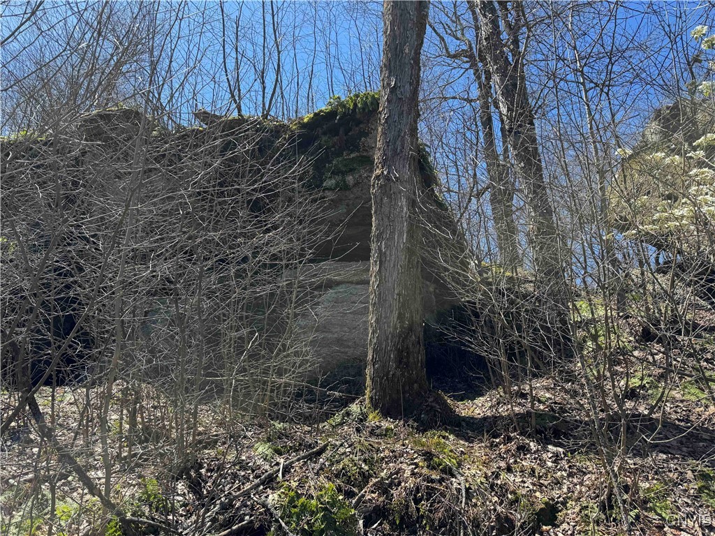 1173 Little Loop Road, Portville, New York image 32
