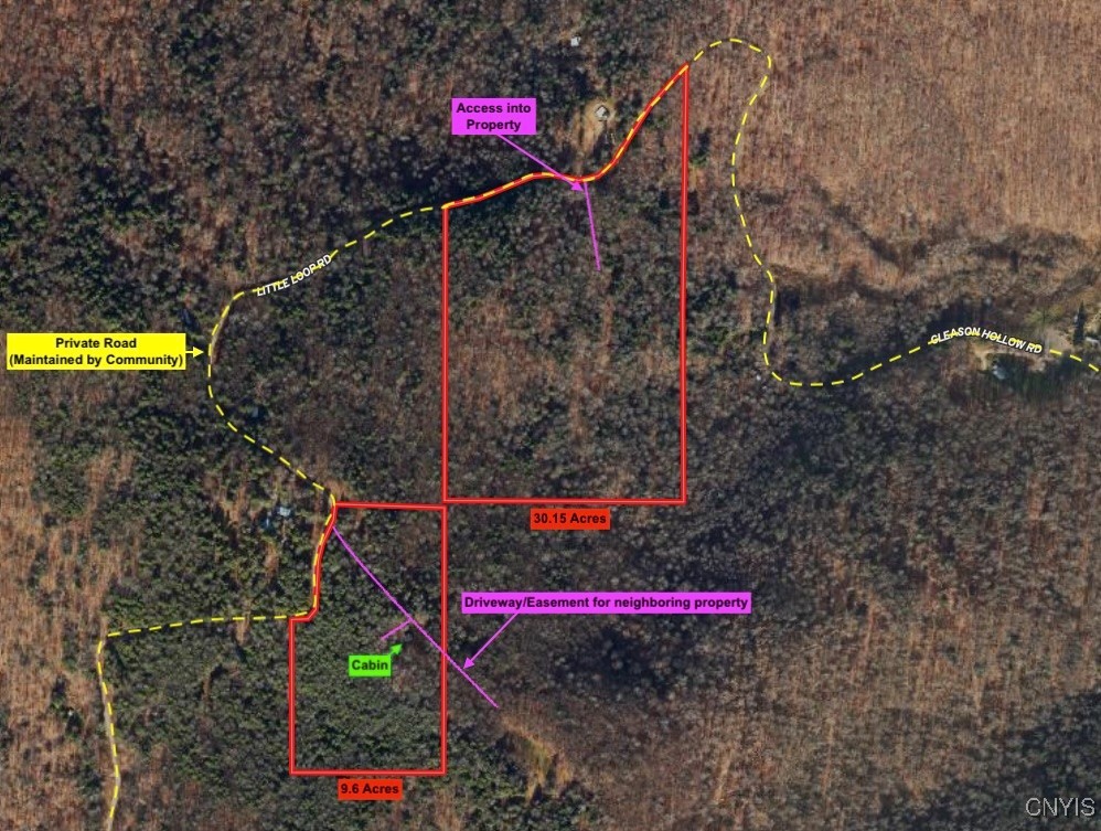 1173 Little Loop Road, Portville, New York image 2