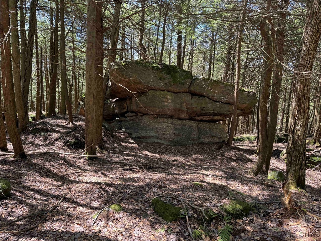 1173 Little Loop Road, Portville, New York image 34