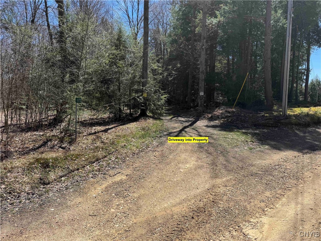 1173 Little Loop Road, Portville, New York image 41