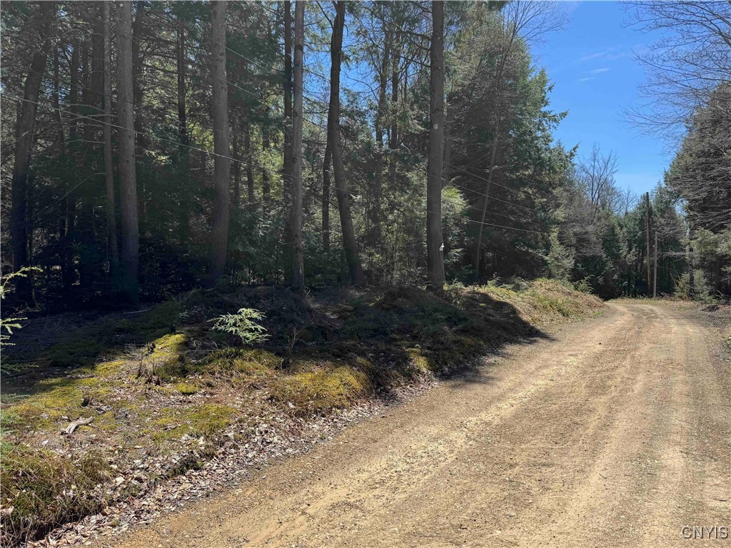1173 Little Loop Road, Portville, New York image 49