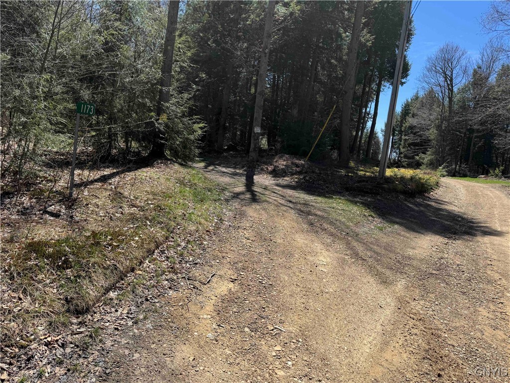 1173 Little Loop Road, Portville, New York image 42
