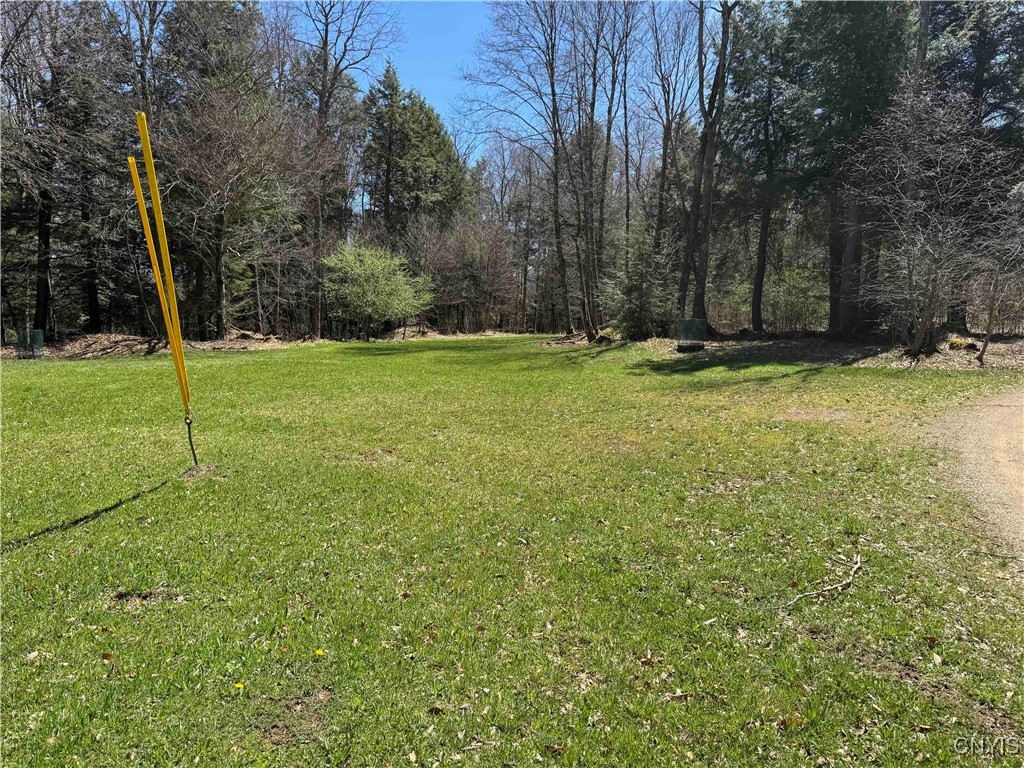 1173 Little Loop Road, Portville, New York image 47