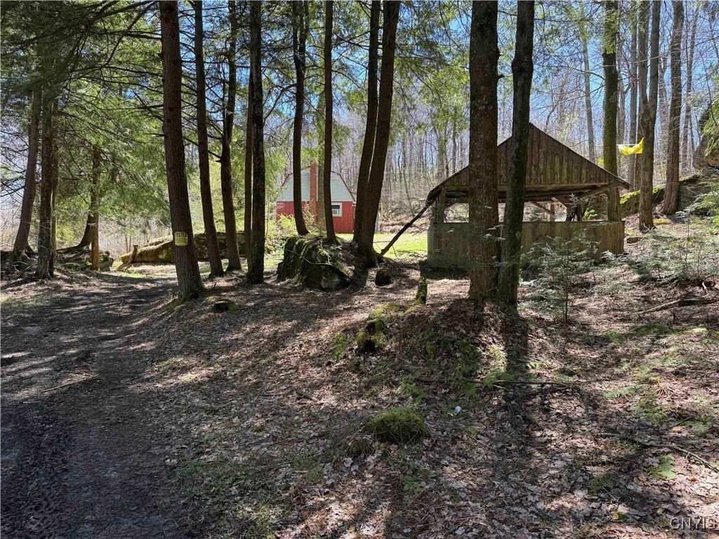 1173 Little Loop Road, Portville, New York image 25