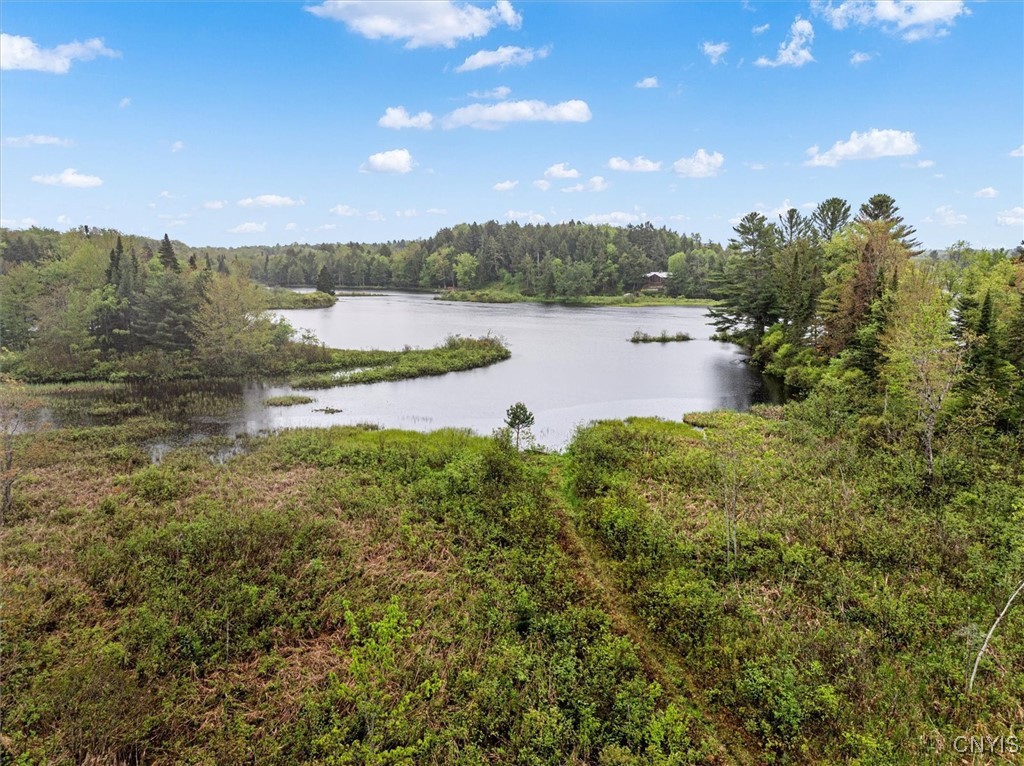 4064 Kayuta Terrace, Forestport, New York image 7